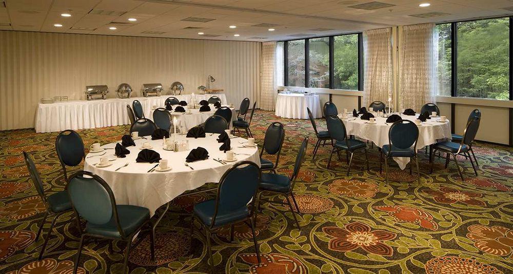 The Park Vista - A Doubletree By Hilton Hotel - Gatlinburg Faciliteiten foto