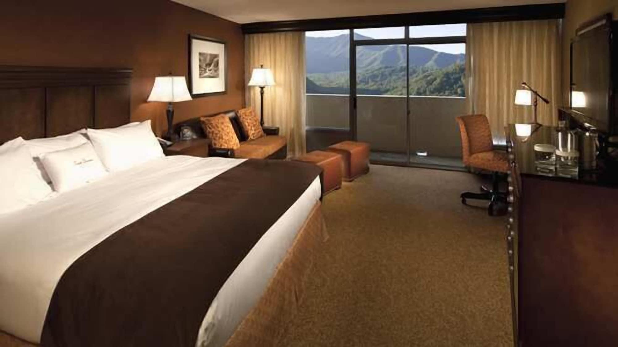 The Park Vista - A Doubletree By Hilton Hotel - Gatlinburg Buitenkant foto