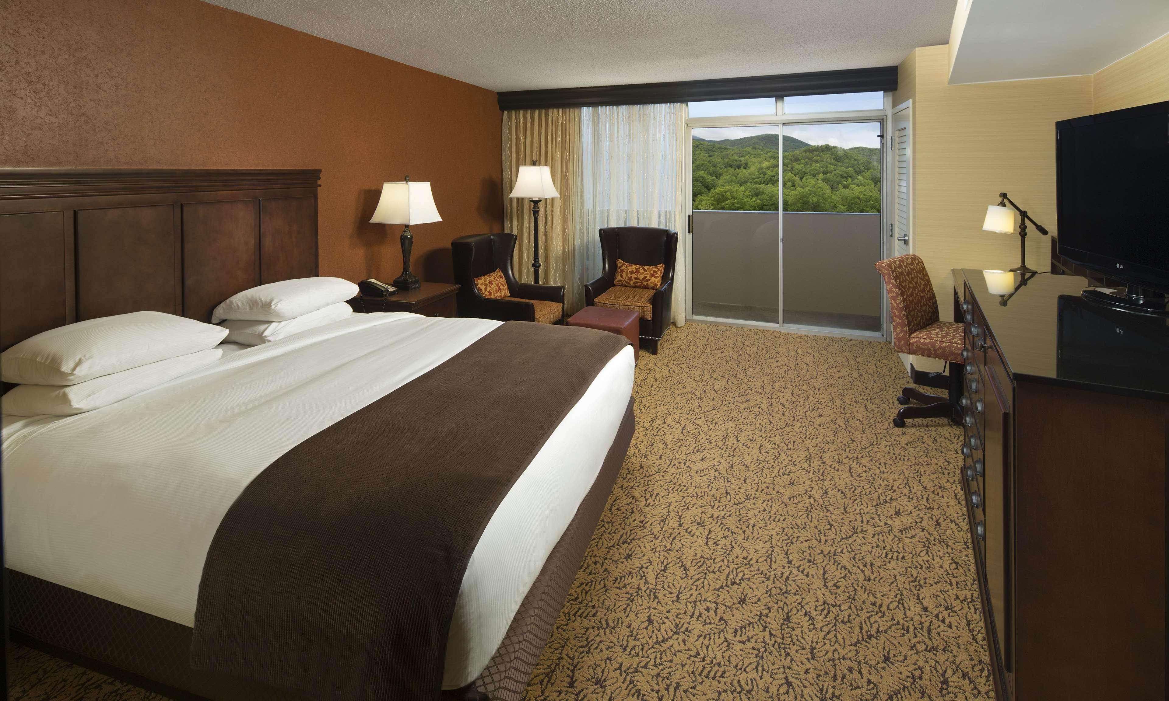 The Park Vista - A Doubletree By Hilton Hotel - Gatlinburg Buitenkant foto