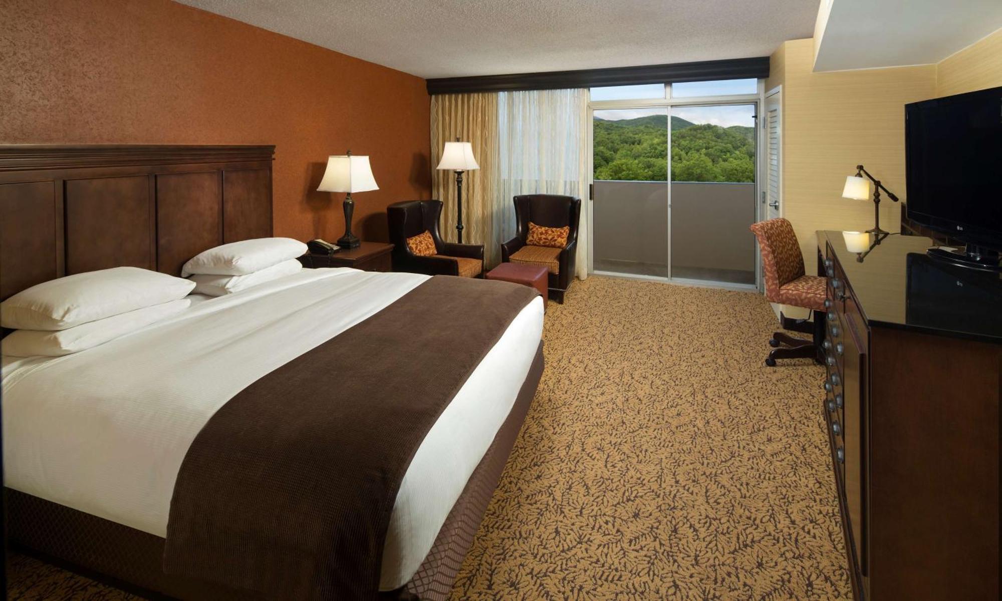 The Park Vista - A Doubletree By Hilton Hotel - Gatlinburg Buitenkant foto